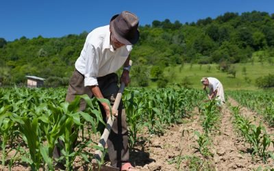 Recibe Senado de la República iniciativa del Ejecutivo para fortalecer al campo mexicano