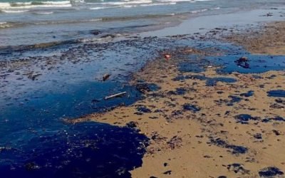 Culpa Rocío Nahle a barco petrolero privado por derrame de crudo en costas de Veracruz