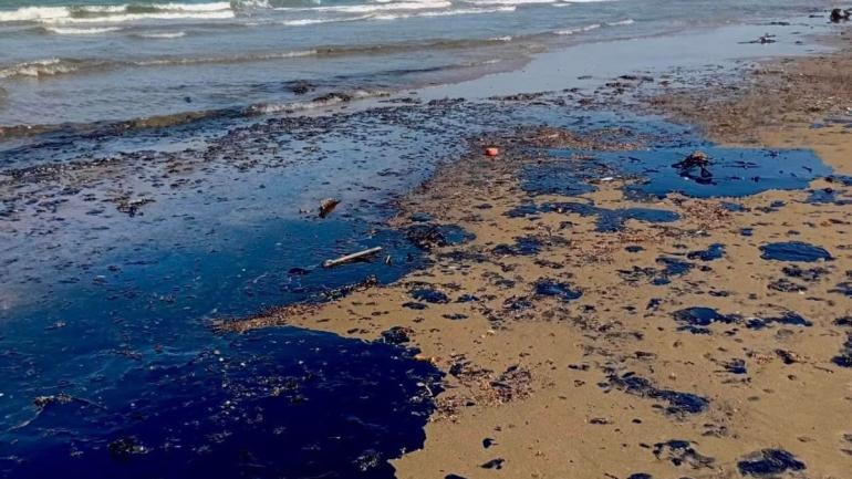 Culpa Rocío Nahle a barco petrolero privado por derrame de crudo en costas de Veracruz