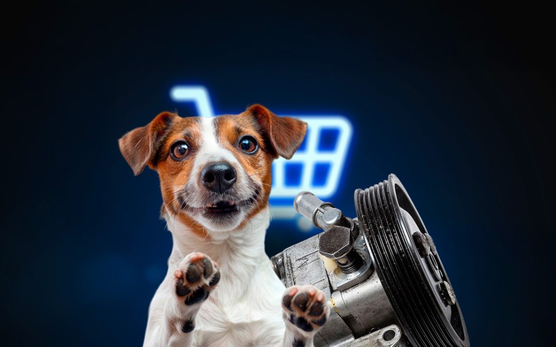 Mascotas y autopartes ganan terreno en compras de los mexicanos por internet