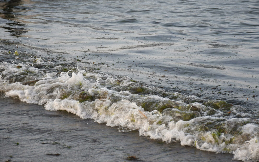 Derrame de hidrocarburo en el Golfo: Anuncian apoyos a pescadores por 35 mdp y 128 toneladas de residuos recolectados