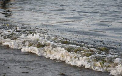Derrame de hidrocarburo en el Golfo: Anuncian apoyos a pescadores por 35 mdp y 128 toneladas de residuos recolectados
