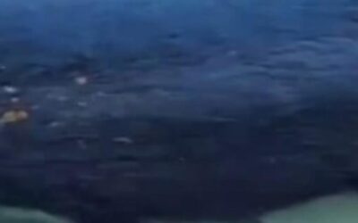 Despliega Pemex operativo en Veracruz para dar apoyo económico a pescadores