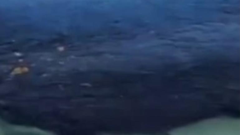 Despliega Pemex operativo en Veracruz para dar apoyo económico a pescadores