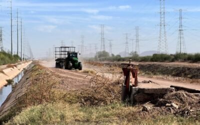 Asignan 389 mdd para financiar al campo mexicano