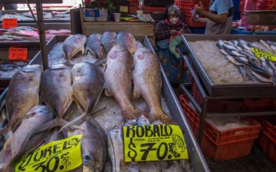 Estima Coparmex CDMX 9 mil 926 mdp por Semana Santa