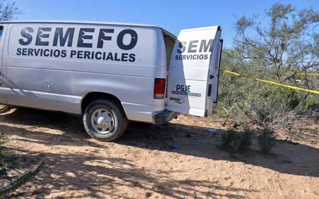 Llamada anónima revela fosa clandestina en BCS; hallan cuerpos y restos humanos