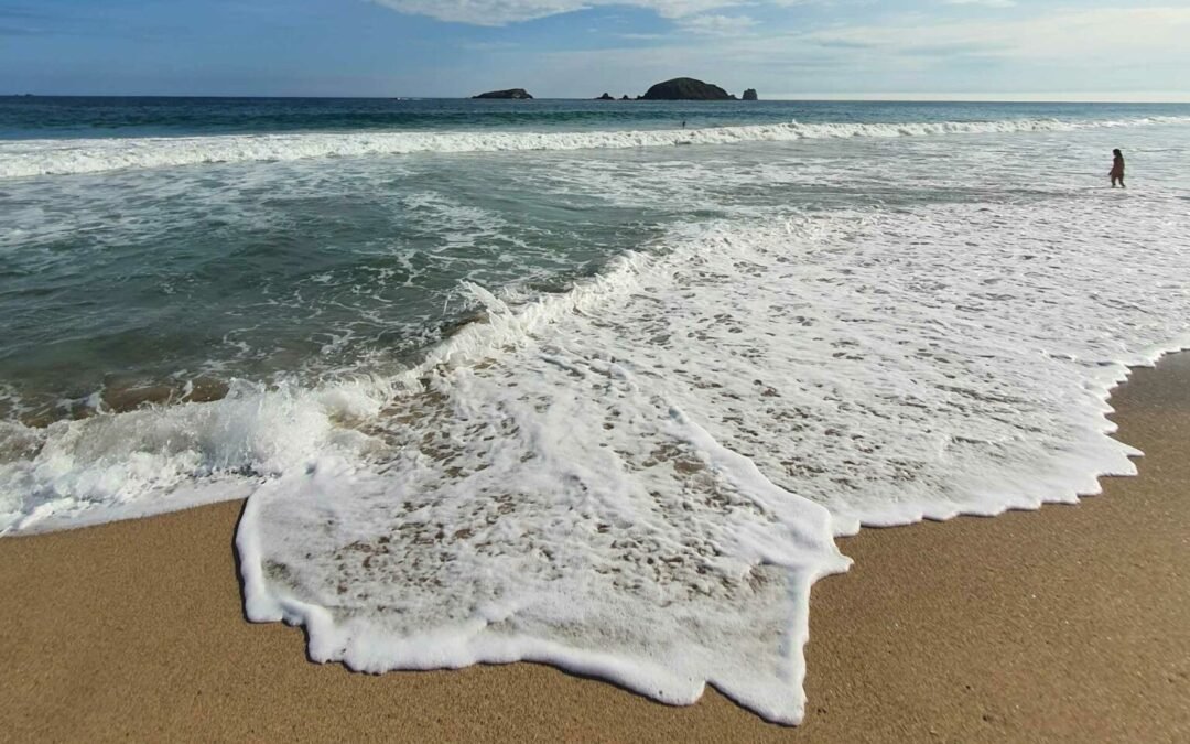 Las playas de México están limpias sin riesgo para disfrutarlas, excepto la de Tijuana: COFEPRIS..