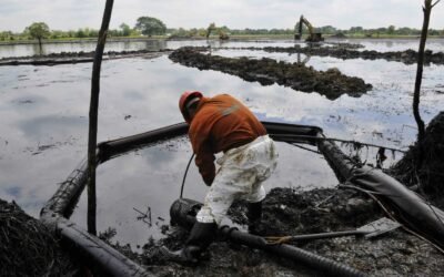 Oceana califica de “insuficiente” gestión de Pemex por derrame de hidrocarburo el Golfo de México