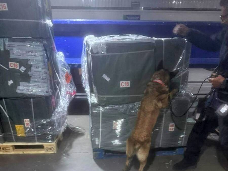 Marina y Aduana decomisan más de 1.8 millones de cigarros ilegales en el AICM