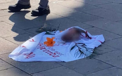 En pleno Viernes Santo abandonan cabeza de chivo afuera del Santuario de Guadalupe de San Luis Potosí