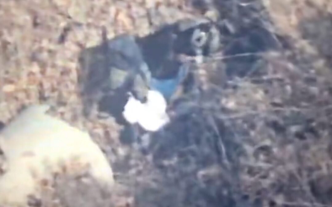 Así fue la detención del ‘Jardinero’, líder del CJNG; fue seguido por 19 meses