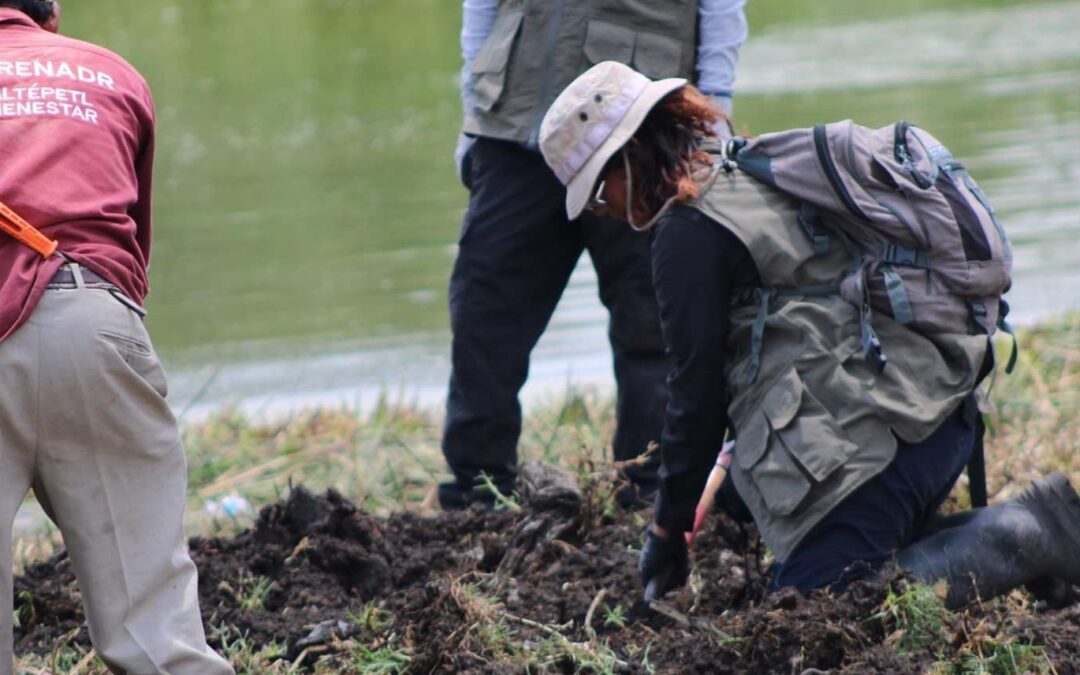 Colectivos reportan hallazgo de 219 restos óseos en zona Tláhuac-Chalco