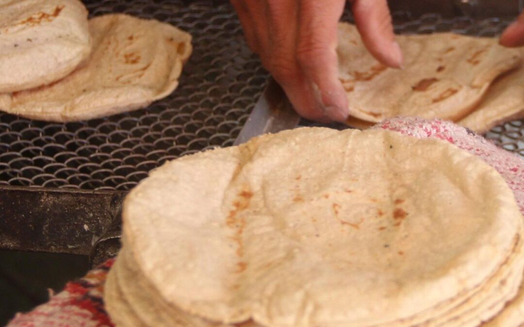 Desmiente Agricultura y Profeco rumores sobre alza en el precio de la tortilla