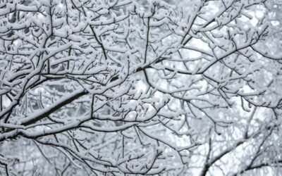 Declaran el estado de alerta naranja en Moscú ante intensas nevadas