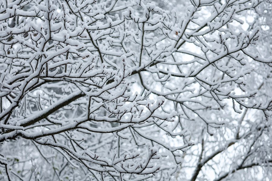 Declaran el estado de alerta naranja en Moscú ante intensas nevadas