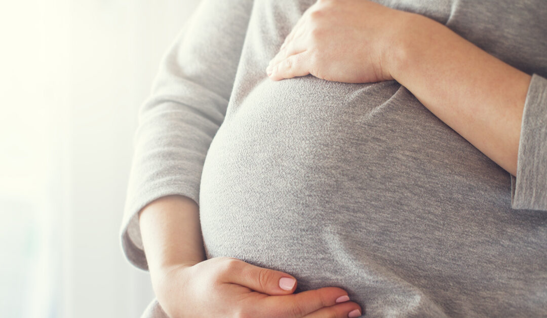 Anuncian en el Senado de la República iniciativa de ley en materia de reproducción humana asistida