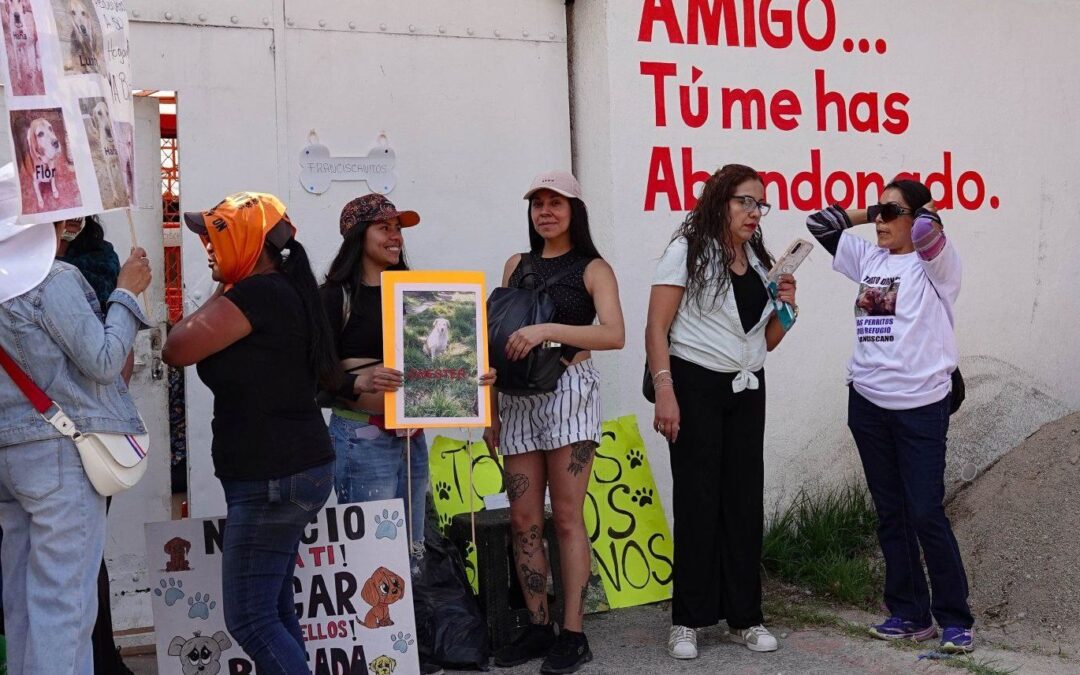 Presiona Fundación Haghenbeck a la FGJCDMX para actuar contra el Refugio Franciscano