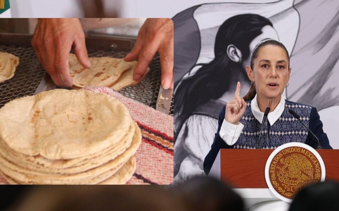 CNT alista aumento a la tortilla; Sheinbaum lo rechaza y ordena a Profeco vigilar tortillerías