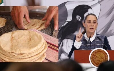 CNT alista aumento a la tortilla; Sheinbaum lo rechaza y ordena a Profeco vigilar tortillerías