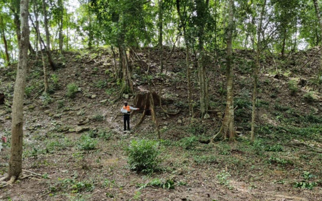 INAH registra El Jefeciño, sitio arqueológico en Quintana Roo