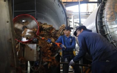 Esperan prestadores de Tequila repunte turístico por Mundial 2026