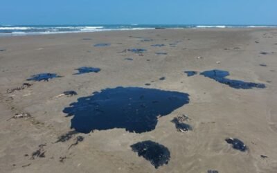 Denuncia Greenpeace a Pemex por grave derrame en el Golfo de México y ocultamiento de información
