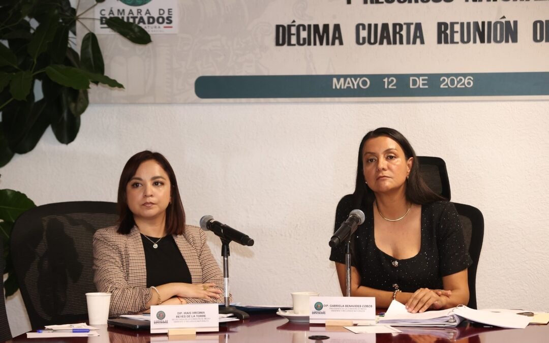 Comisión de Medio Ambiente y Recursos Naturales de la C. de Diputados aprobó incluir en la ley el concepto “vegetación riparia”