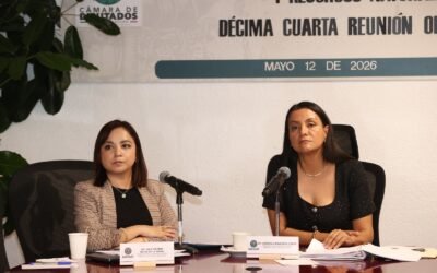 Comisión de Medio Ambiente y Recursos Naturales de la C. de Diputados aprobó incluir en la ley el concepto “vegetación riparia”