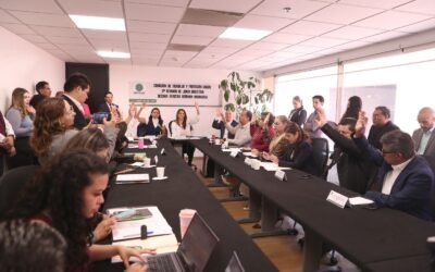 Aprueban en Comisión Reforma que amplía derechos de madres trabajadoras durante su etapa de posparto