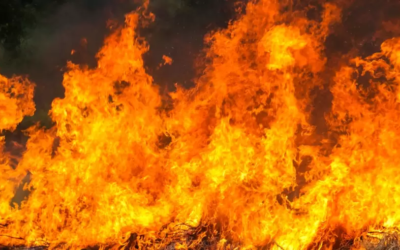 Fiscalía de Sinaloa investiga incendio en casino «Tropicana»