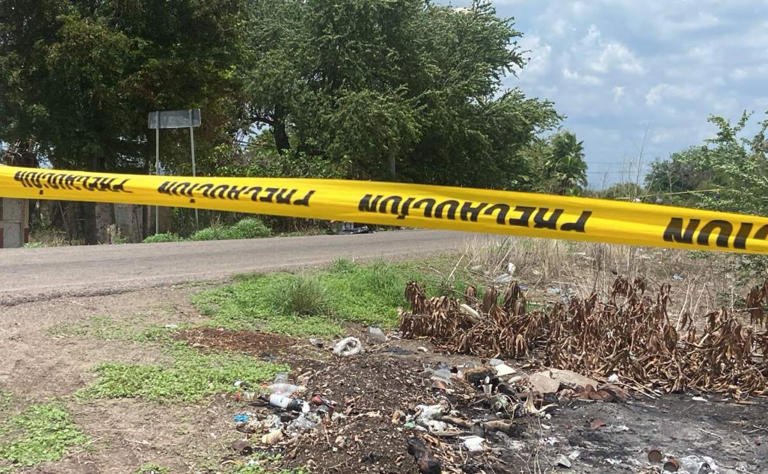 Autodefensas capturan a 4 sujetos señalados de matar a ganadero al sur de Veracruz