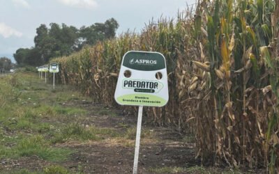 Piden auxilio los campesinos de Hidalgo por la violencia criminal que padecen.