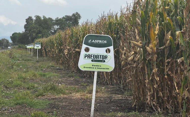 Piden auxilio los campesinos de Hidalgo por la violencia criminal que padecen.
