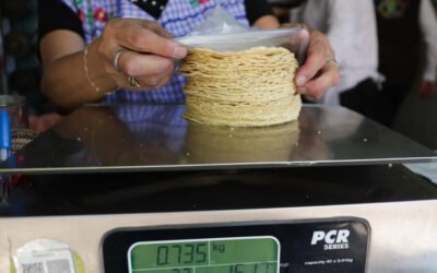 Tortilla de maíz, con mayor alza en dos años