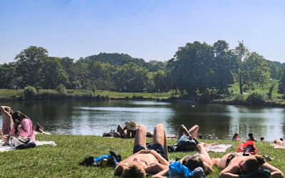 Se extienden por varios países europeos las alertas por calor y riesgo de incendios
