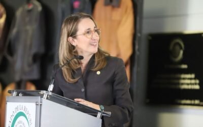Impulsa la Senadora, Magaña Fonseca, Reforma Fiscal para apoyar a artesanas y artesanos