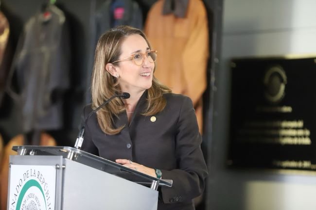 Impulsa la Senadora, Magaña Fonseca, Reforma Fiscal para apoyar a artesanas y artesanos