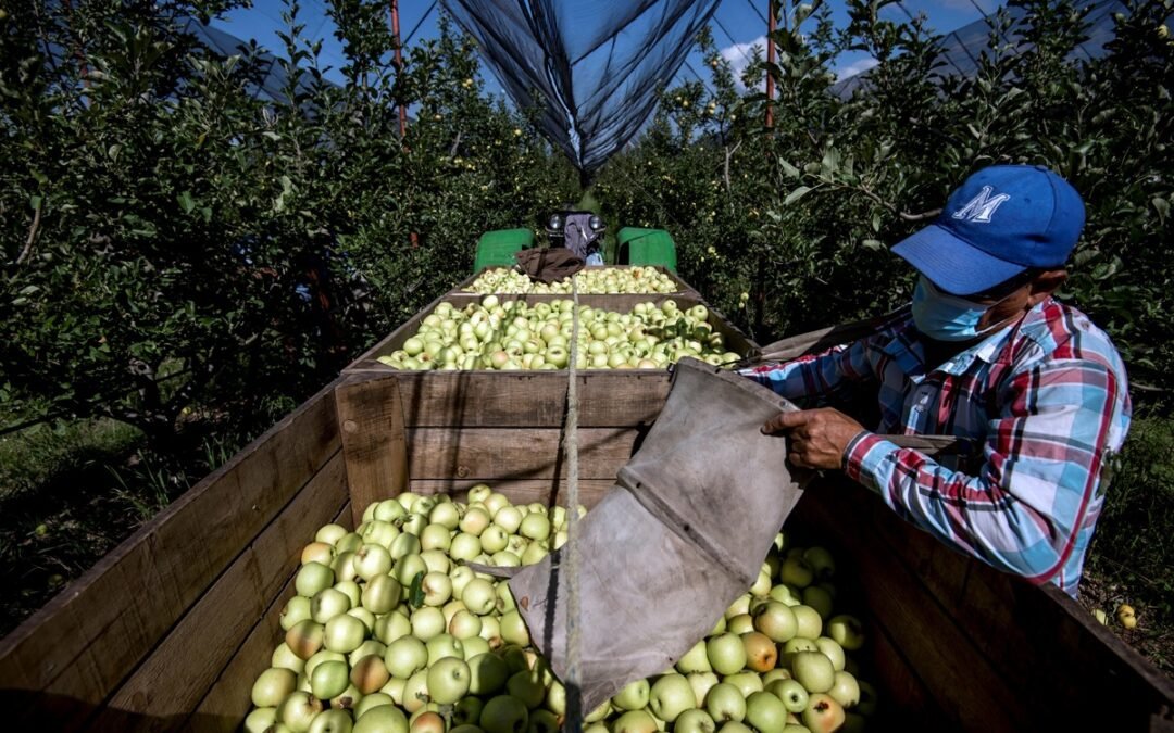 Se eleva actividad económica de México un 1.4% interanual en marzo