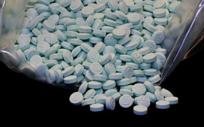 EE.UU. publica su Estrategia Nacional de Control de Drogas 2026; exigirá a México más detenciones y extradiciones