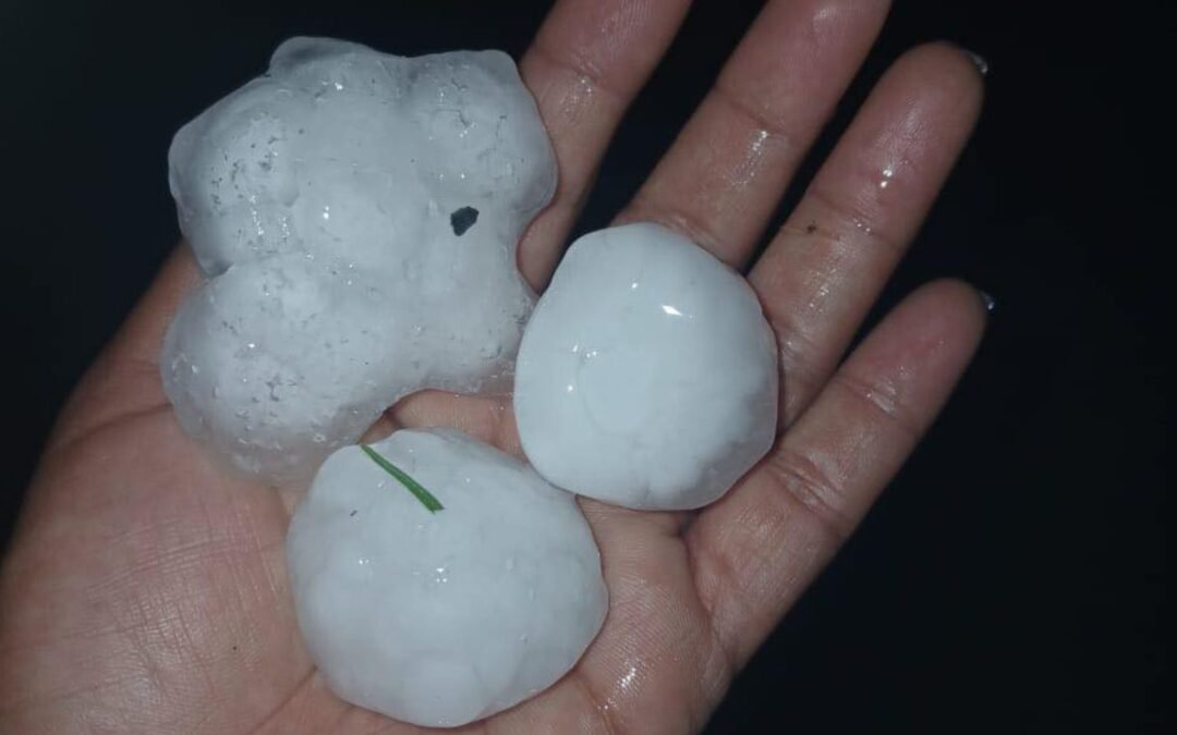 Granizo sorprende a habitantes de Nuevo León; hielo rompió vidrios de autos
