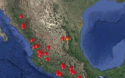 Incendios forestales: Permanecen 38 incendios activos, en 14 estados