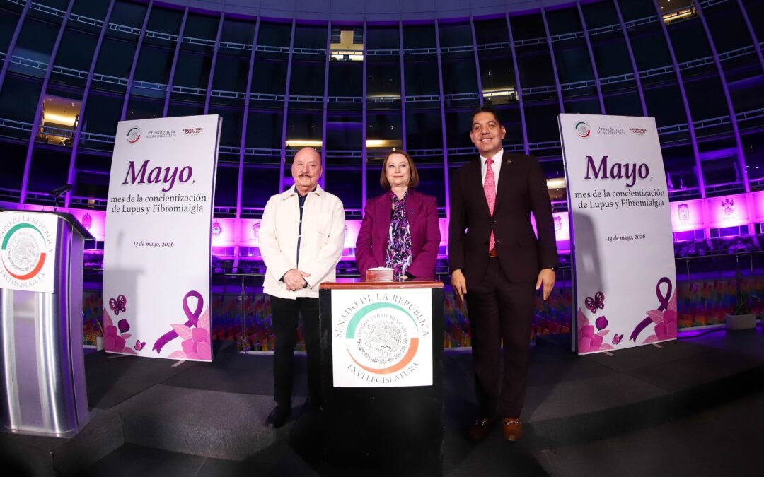 Senadoras y senadores no deben ser indiferentes ante quienes padecen lupus o fibromialgia, sostiene Laura Itzel Castillo
