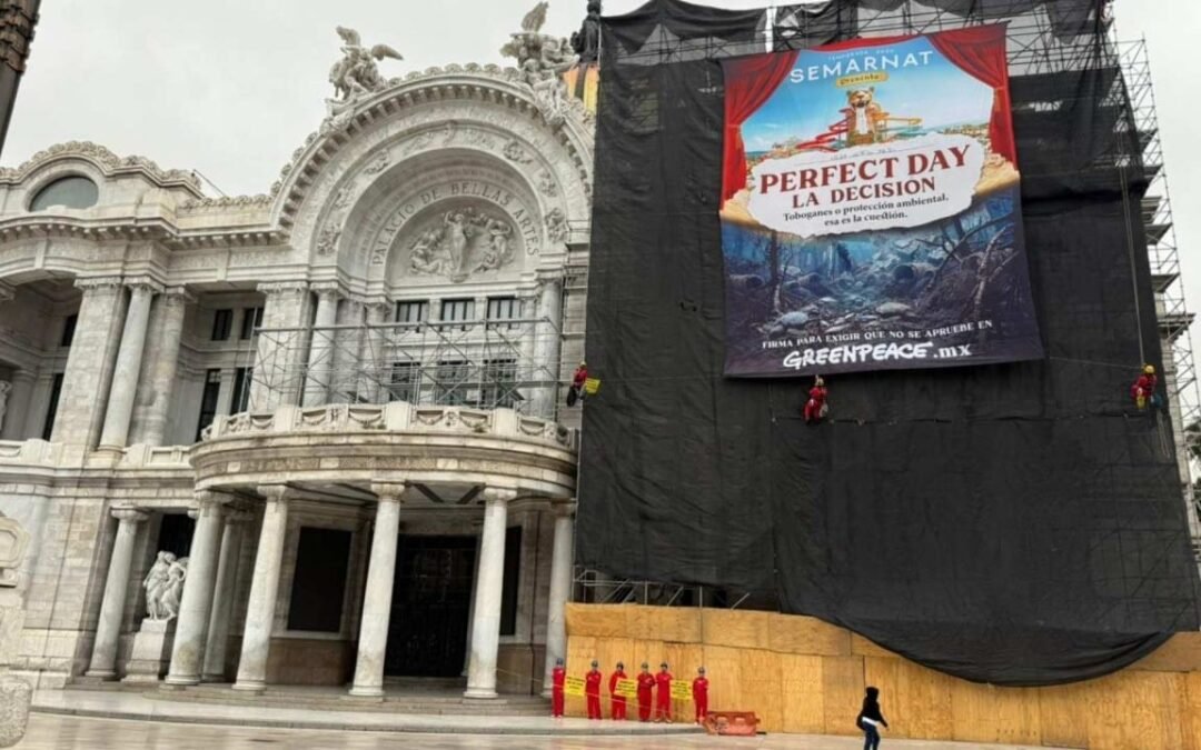 Greenpeace protesta en Bellas Artes contra proyecto “Perfect Day” en Quintana Roo
