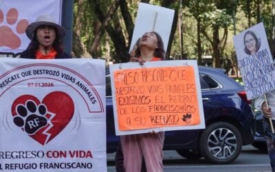 Profepa se declara incompetente en el grave caso del Refugio Franciscano