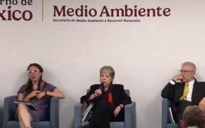 “Mahahual no se toca”: Semarnat rechaza megaproyecto de Royal Caribbean por riesgo ambiental