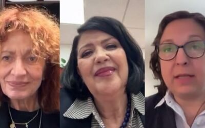 En Cámara de Diputados imparten conferencia virtual: “El nuevo acuerdo de México con la Unión Europea”