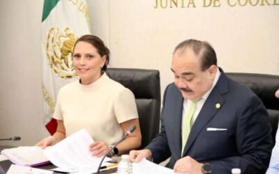 Ratifica Senado a Jennifer Krystel Castillo Madrid como nueva administradora de Grandes Contribuyentes del SAT