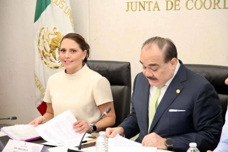 Ratifica Senado a Jennifer Krystel Castillo Madrid como nueva administradora de Grandes Contribuyentes del SAT