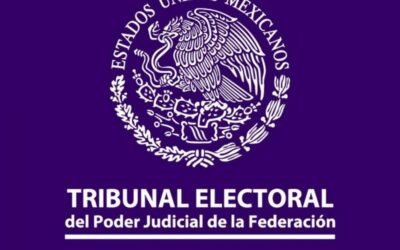 TEPJF difunde informe semanal sobre resoluciones en materia de medidas cautelares